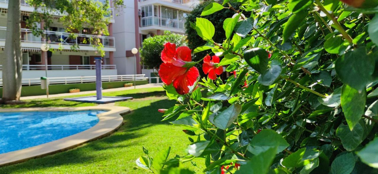 Apartamento Dianium By Denia Costa Dış mekan fotoğraf